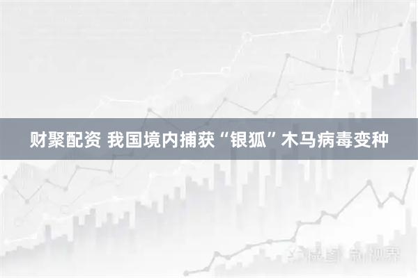 财聚配资 我国境内捕获“银狐”木马病毒变种