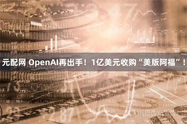 元配网 OpenAI再出手！1亿美元收购“美版阿福”！