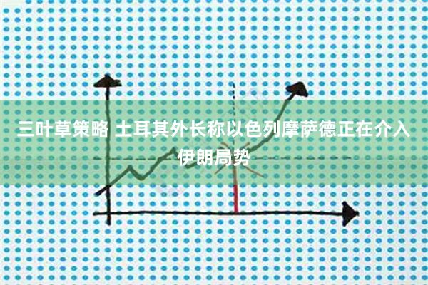 三叶草策略 土耳其外长称以色列摩萨德正在介入伊朗局势