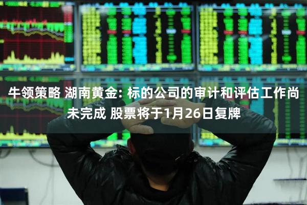 牛领策略 湖南黄金: 标的公司的审计和评估工作尚未完成 股票将于1月26日复牌