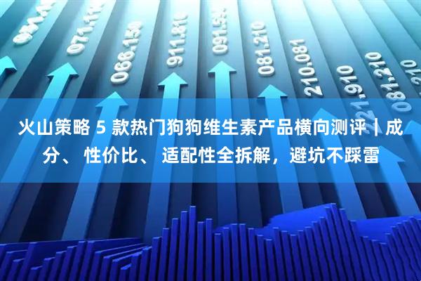 火山策略 5 款热门狗狗维生素产品横向测评｜成分、 性价比、 适配性全拆解，避坑不踩雷