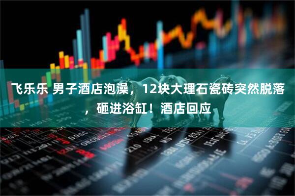 飞乐乐 男子酒店泡澡，12块大理石瓷砖突然脱落，砸进浴缸！酒店回应